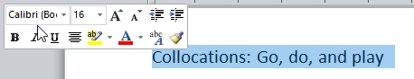 MS Word Selected Text